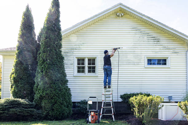 Best Roof Washing  in Verandah, FL